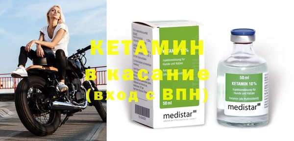 стаф Богданович