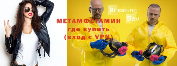 стаф Богданович