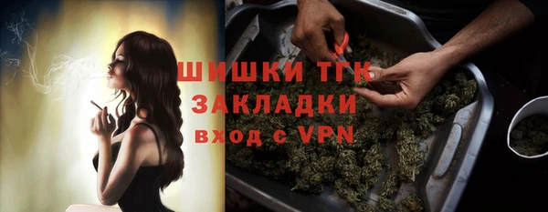 гидропоника Богородицк