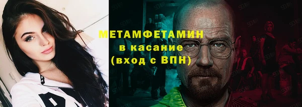 стаф Богданович