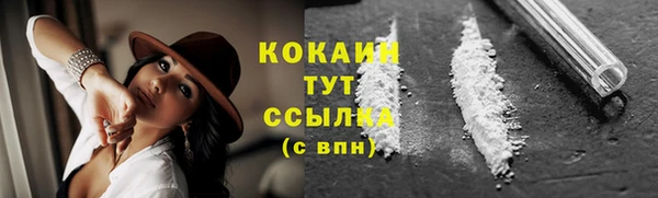 гидропоника Богородицк