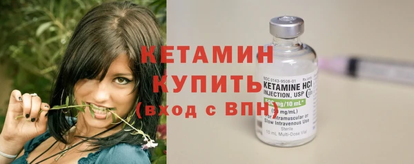 стаф Богданович