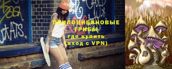 гидропоника Богородицк