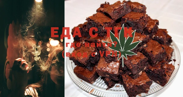 стаф Богданович