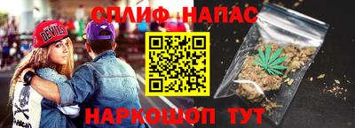 сатива Гатчина