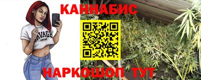 сатива Гатчина