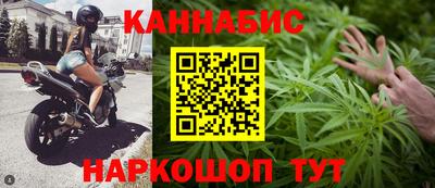 сатива Гатчина