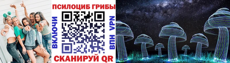 Галлюциногенные грибы MAGIC MUSHROOMS  где купить наркоту  Мариинск 