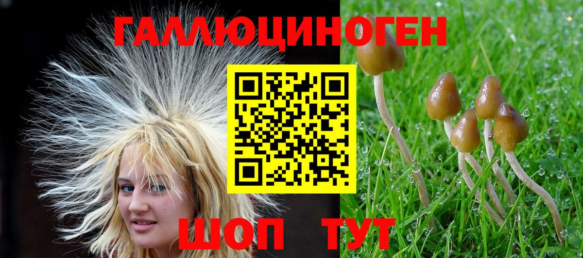 Псилоцибиновые грибы мицелий Мариинск